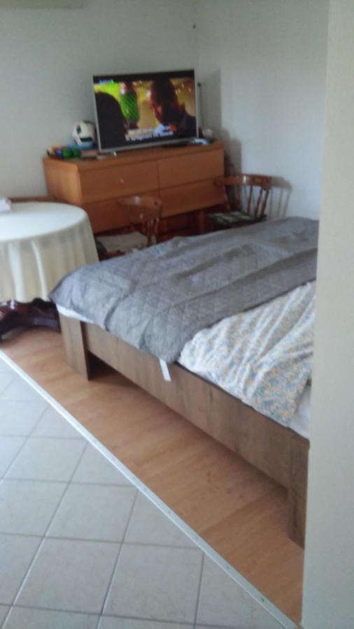 Studio-Apartma Med Oljkami Apartment Порторож Екстериор снимка